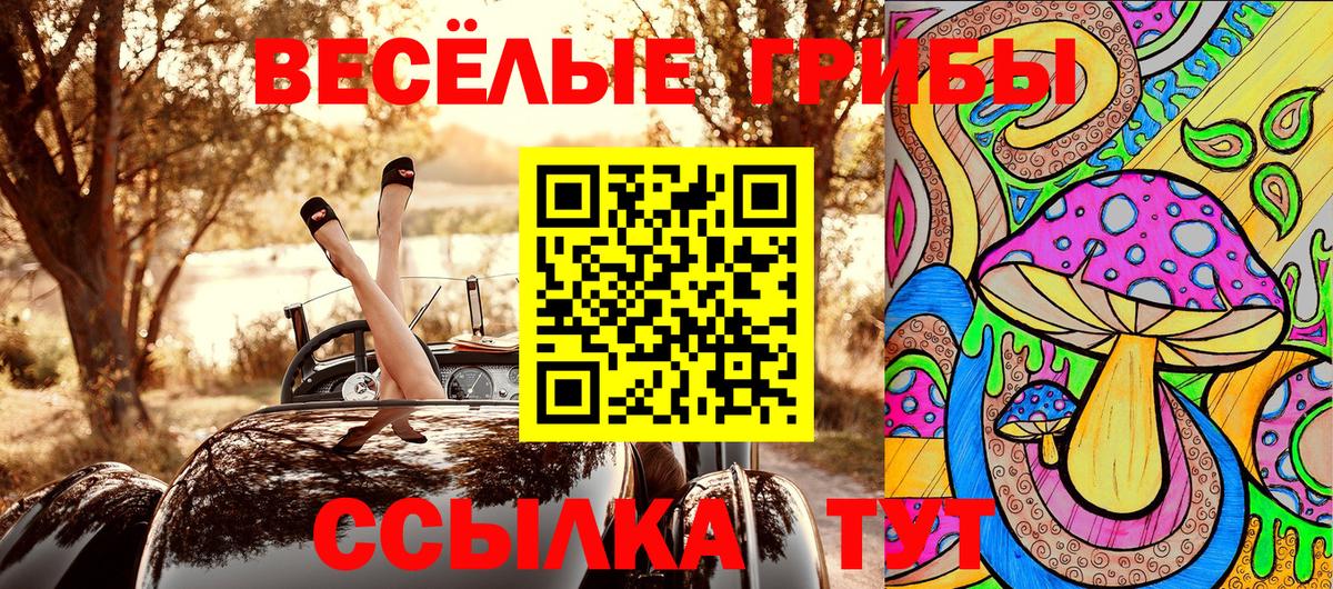 Галлюциногенные грибы Psilocybine cubensis Муром