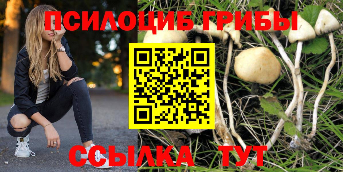 Галлюциногенные грибы мухоморы  Вход с VPN  Муром 